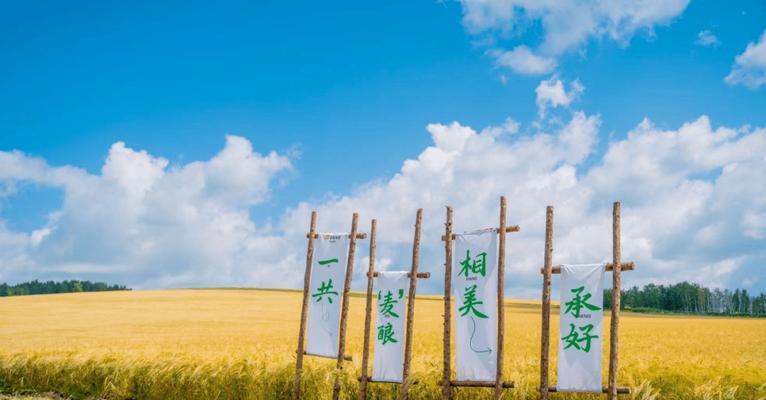 大麦的适宜播种时间（掌握适宜时间，提高大麦产量）