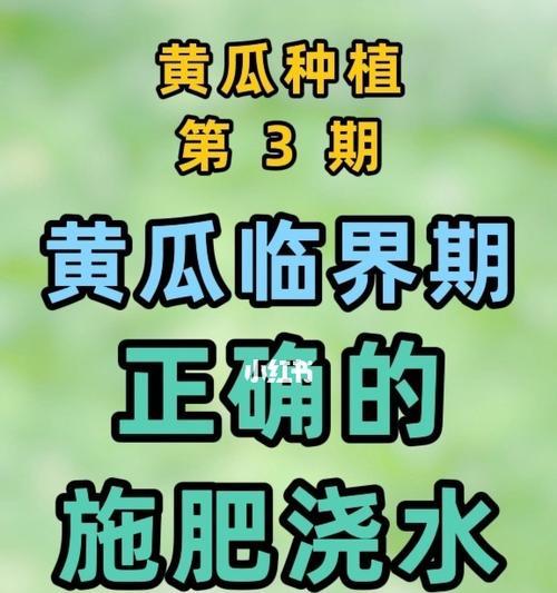 黄瓜苗的浇水方式（掌握浇水的时机和方法，让黄瓜苗茁壮成长）
