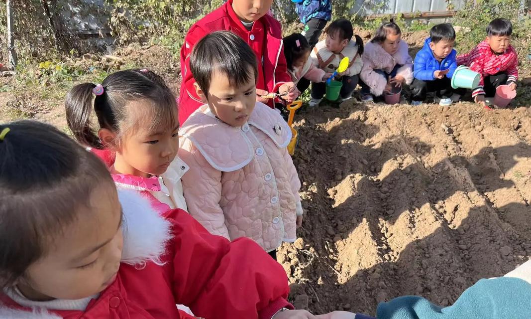 大蒜种子种植全攻略（从选种到收获，让你轻松掌握大蒜种植技巧）