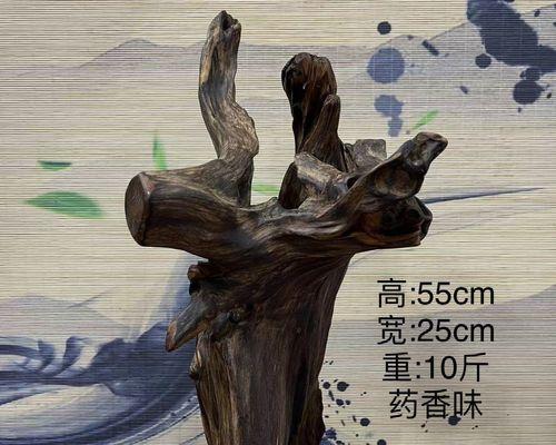 探讨广西种植沉香的可行性（广西沉香资源与市场需求分析）