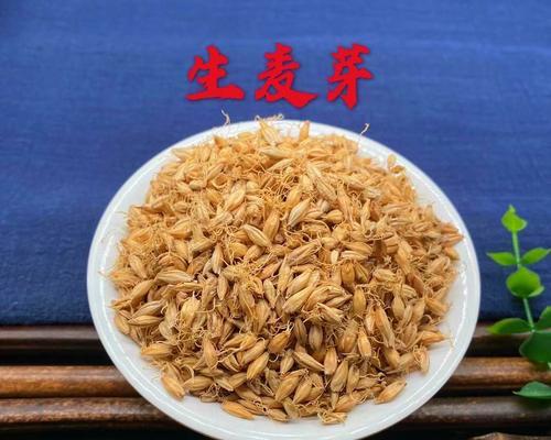 大麦茶与炒麦芽，究竟是同一种东西吗？（探讨大麦茶和炒麦芽的区别和联系）