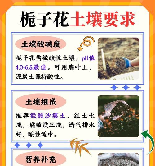 大岩桐水培好还是土培好？（探究大岩桐在水培和土培中的生长差异及其适宜条件）