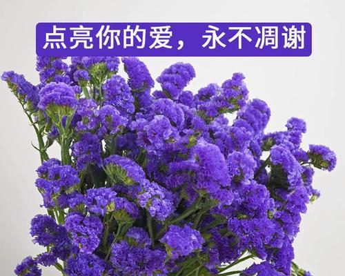 勿忘我的水养方法（如何让勿忘我长得更健康？——勿忘我水养技巧详解）