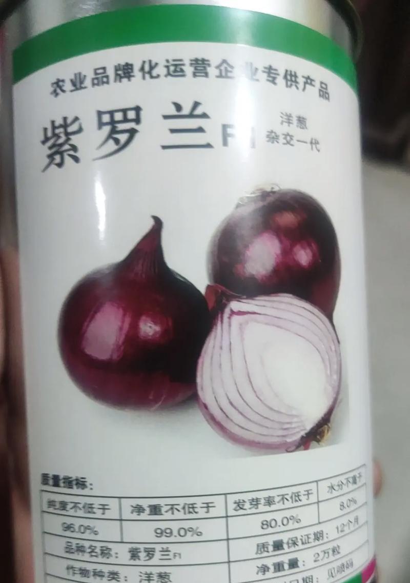 洋葱种子的来源及繁殖方法（揭开洋葱种子的神秘面纱，了解繁殖技巧）