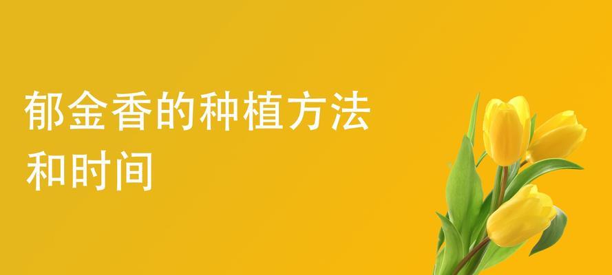 如何种植郁金香？（从时间到方法，掌握这些关键点就够了！）