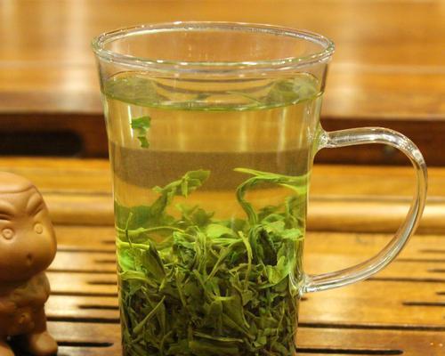 蜂蜜水可以给植物浇吗？（探究蜂蜜水对植物生长的影响）