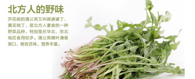 蒲公英种子的最佳播种时间（探讨蒲公英种子的生长习性及最佳播种时间）