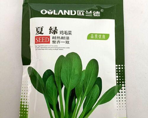 探寻鸡毛菜和油菜的区别与相似之处（探寻鸡毛菜和油菜的区别与相似之处）