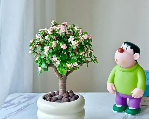 金枝玉叶开花时间及方法详解（如何让金枝玉叶开花？金枝玉叶需要多长时间才会开花？）