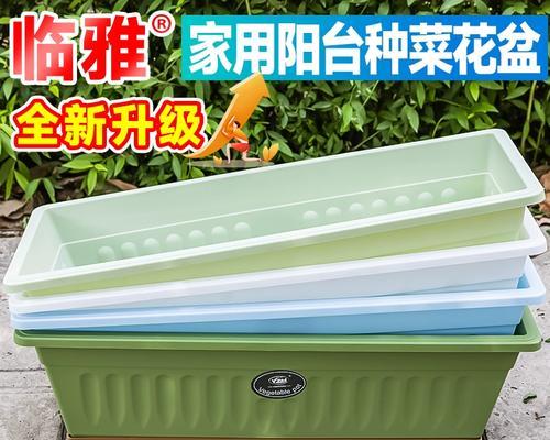 西红柿盆栽选择多大的盆最合适？（如何选择适合西红柿盆栽的盆，正确栽种西红柿？）