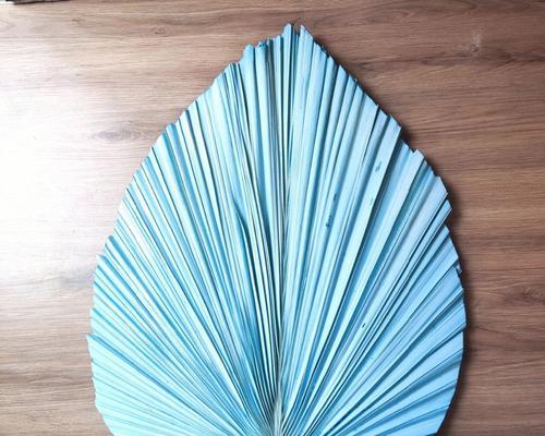 蒲扇，一种经久不衰的植物之美（揭秘蒲扇的种类、用途与文化价值）