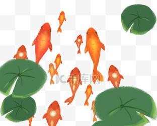 荷叶代表什么生肖？（荷叶的象征意义与生肖的联系）