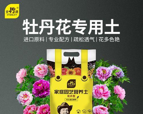 盆栽牡丹换土的时间和方法（打造健康美丽的盆栽牡丹，从换土开始）