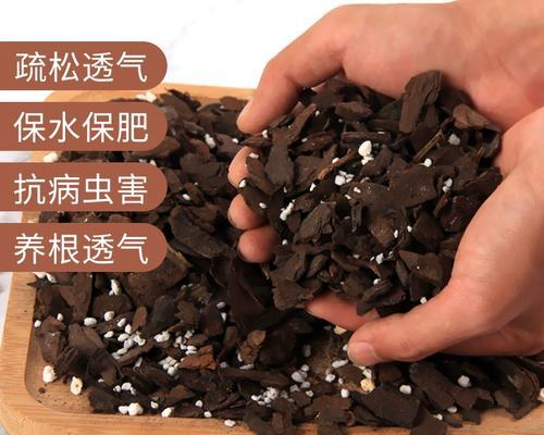松树皮的植物种植指南（如何利用松树皮打造美丽花园）