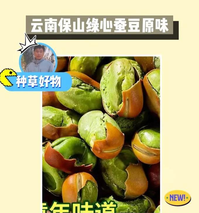 河南蚕豆播种时间分析（掌握适时播种关键，助力河南蚕豆丰收）