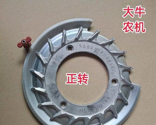 葵花籽种植全攻略（时间、方法、关键要素一网打尽）