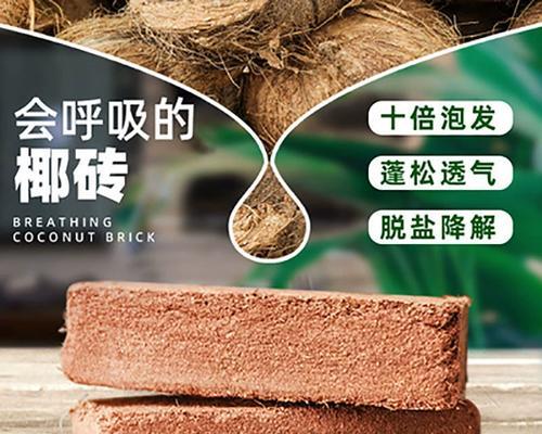 椰糠种多肉的完美选择（用椰糠轻松栽培属于你的多肉小家园）