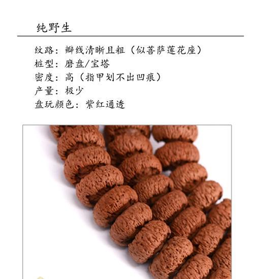 莲花菩提——一颗灵性的种子（来自莲花的智慧与慈悲）