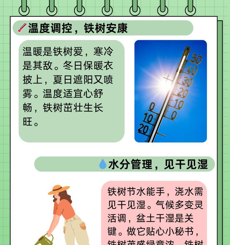 铁树养护的注意事项（什么人群不适合养铁树）