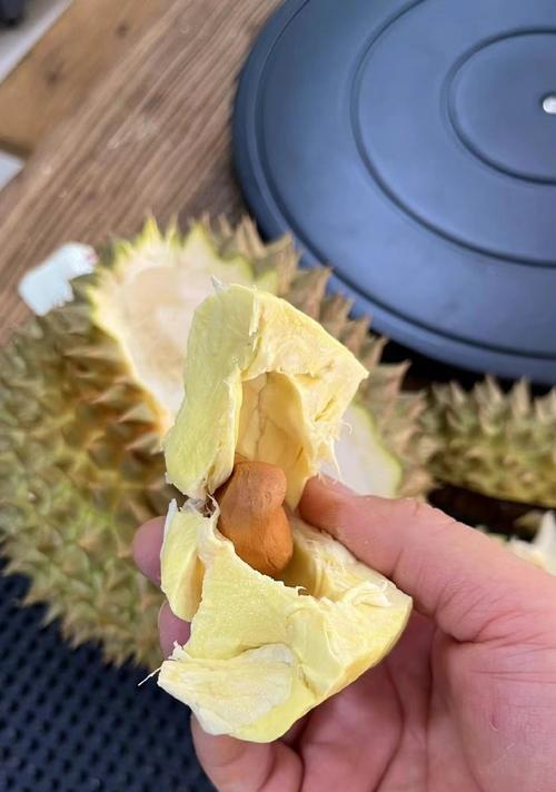 如何判断榴莲的成熟度（如何识别榴莲成熟度，避免购买不成熟果实）