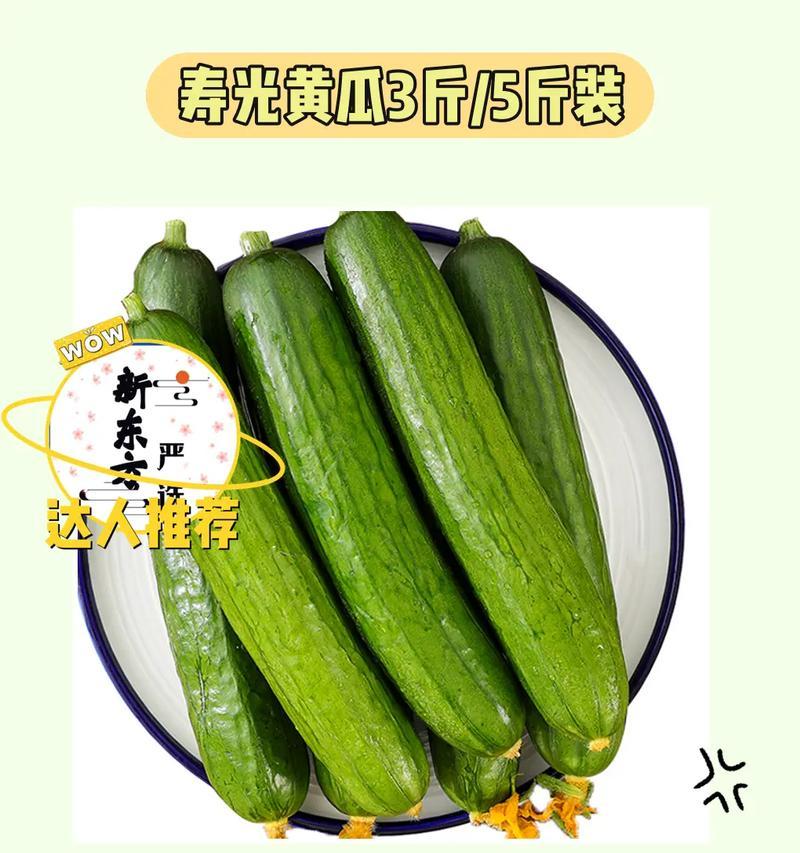 夏天种黄瓜（种植技巧、防虫方法、收获时间）
