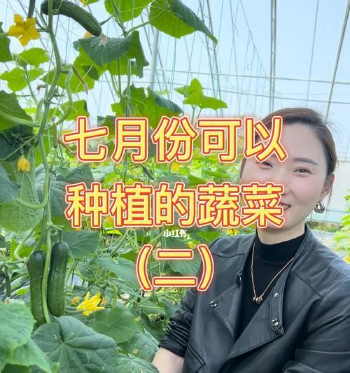 七月种什么蔬菜最好？（如何选择适合七月种植的蔬菜？）