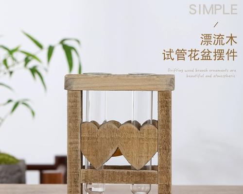 如何选择适合放置在收银台的植物？（打造舒适自然的收银环境，增加顾客满意度）