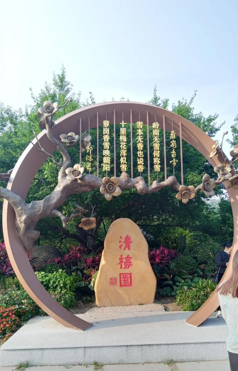 青梅成熟季节，是时候了解了！（探秘青梅成熟的时间和品种，提前安排你的采摘计划吧！）