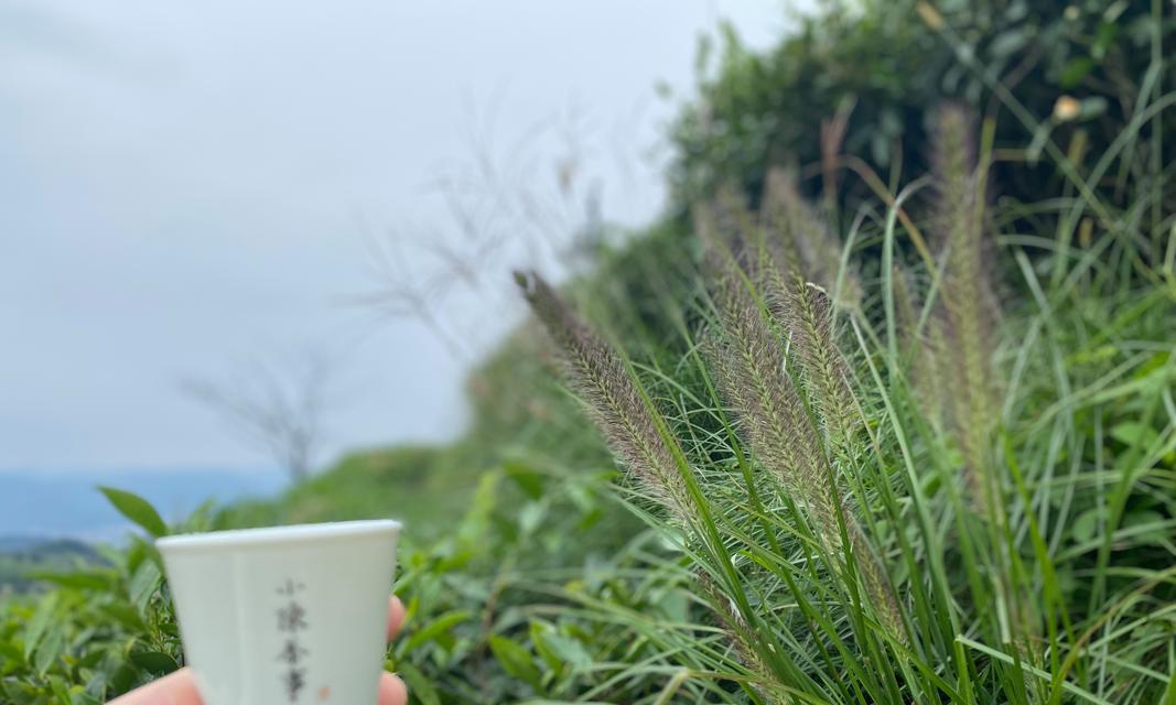 白露茶的类型和制作方法（探索白露茶的种类和制作方法，深入了解传统制茶工艺）