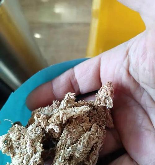 水苔与多肉的结合，打造自己的绿色世界（水苔和多肉的配搭，让你的家更加温馨自然）