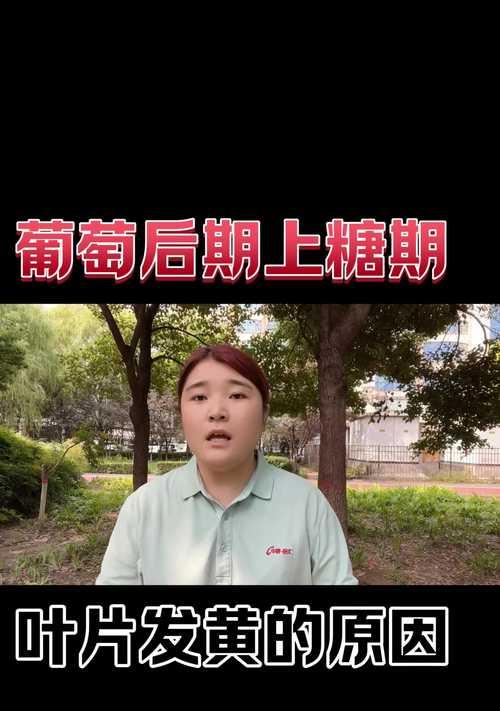 虎刺梅叶片发黄的原因及处理方法（做好养护，让虎刺梅常青）