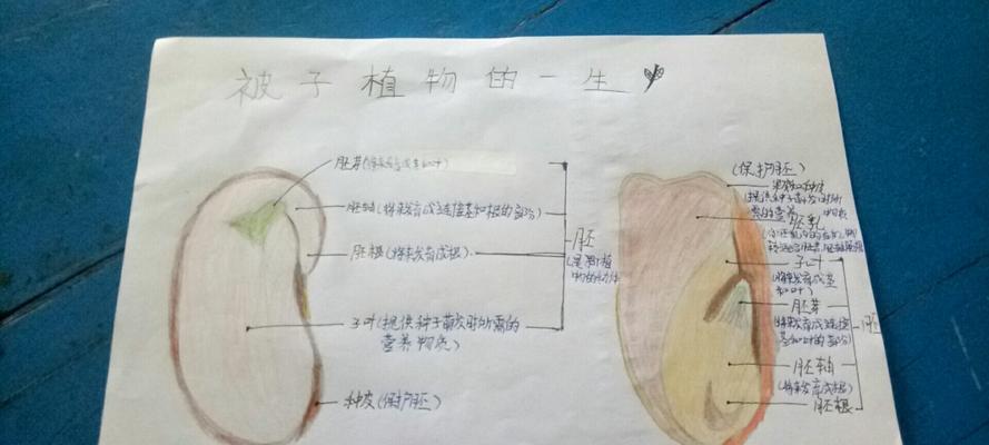 李子种子快速发芽的方法（掌握催芽技巧，让李子种子瞬间生长）