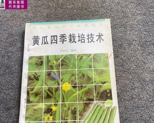 黄瓜成熟季节及种植技巧（掌握黄瓜成熟时间，收获更好的果实）