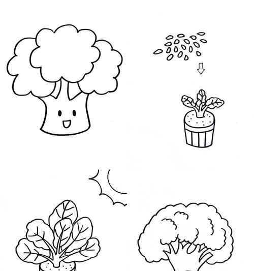 探究西兰花的生长特点（西兰花的环境需求和适宜种植条件）