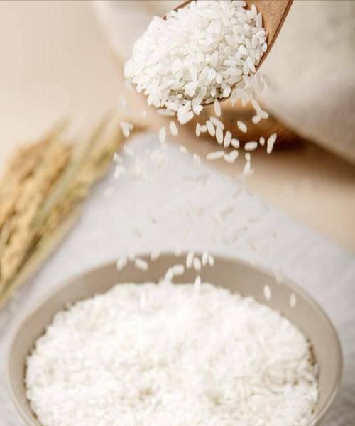 大米——粮食作物之王（种植、收割、加工、营养与品种）