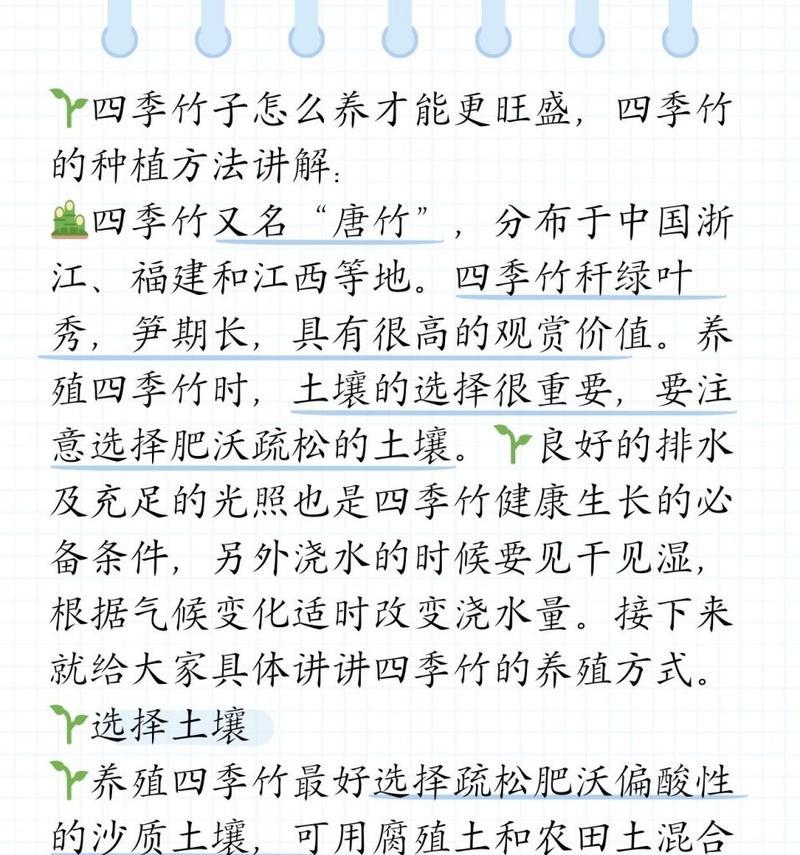 毛竹养殖技巧（如何使毛竹更旺盛）