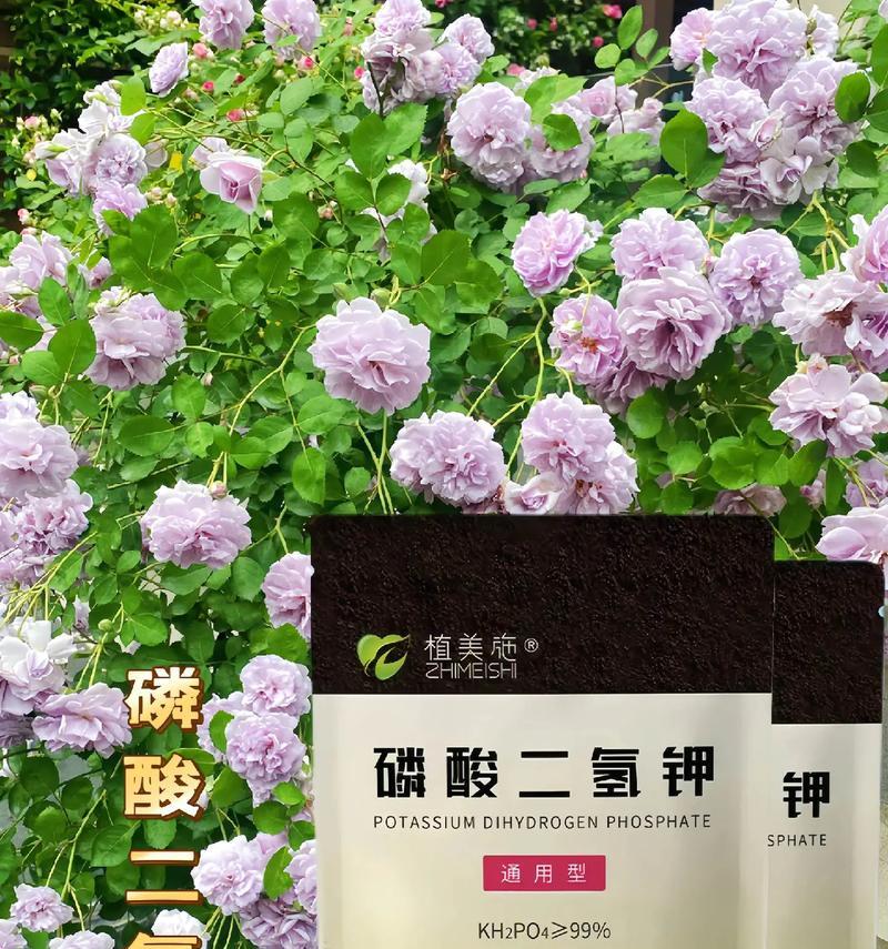 磷酸二氢钾（掌握正确的使用方法，让您的花草更健康茂盛）