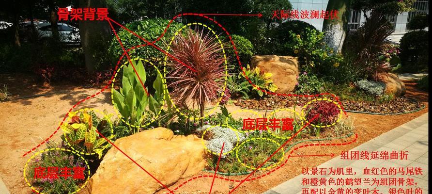 如何配制适合鹤望兰的种植土壤？（鹤望兰种植之前，一定要先了解这些关于土壤的知识！）