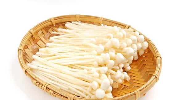 探究金针菇的生长周期（从种植到收获，了解金针菇的生长历程）