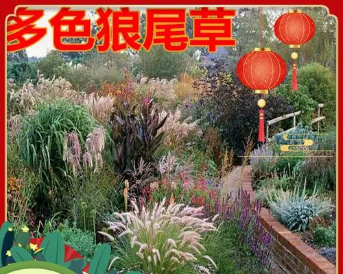 提萨草与狗尾巴的区别（狗尾巴和提萨草的外观、生长环境、用途等方面的详细比较）