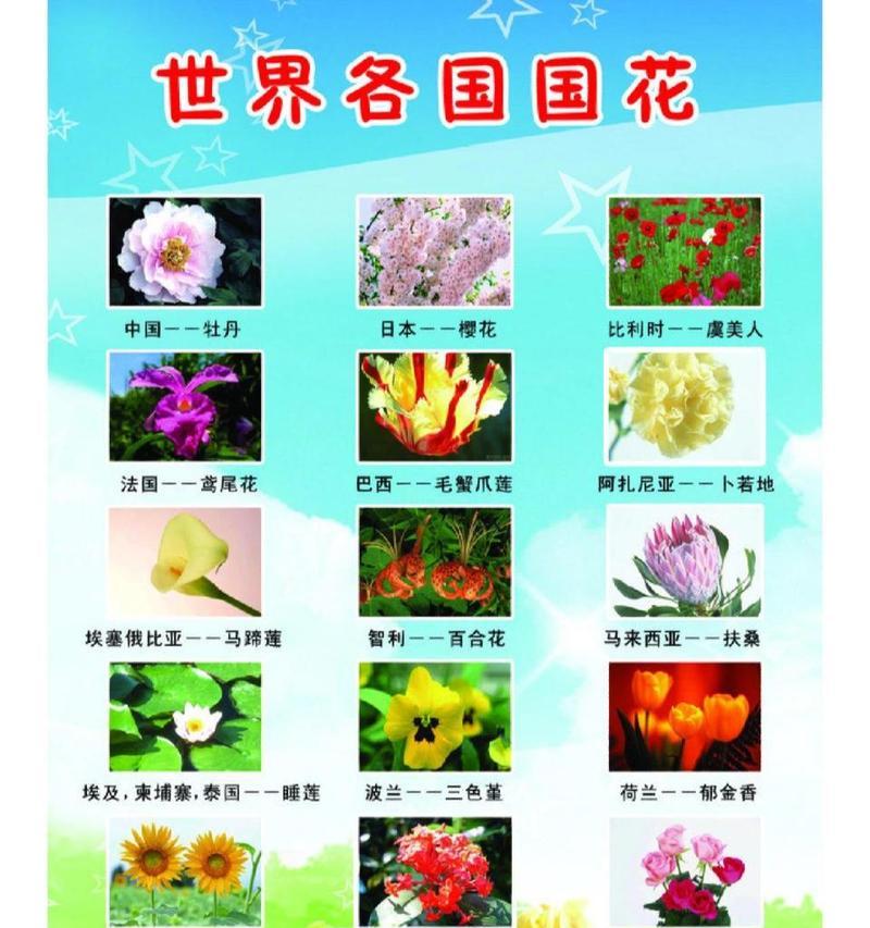 比利时的国花——铃兰（铃兰的文化和历史）