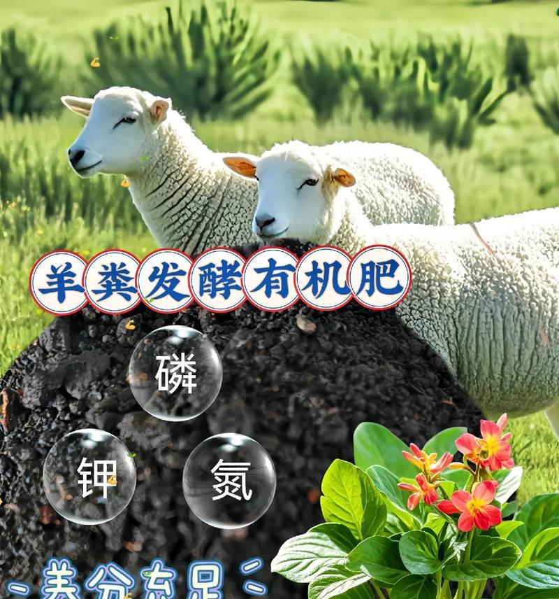 有机肥在花卉栽培中的应用（探讨有机肥对花卉生长的影响及使用技巧）