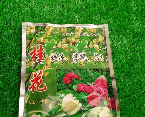如何用肥料让桂花树茂盛生长（掌握这些关键信息，让你的桂花树开花更美、结果更丰）