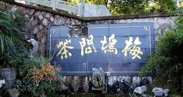 揭秘龙井采摘时间，享受春日醉美（春季龙井采摘季节、时间节点与技巧）