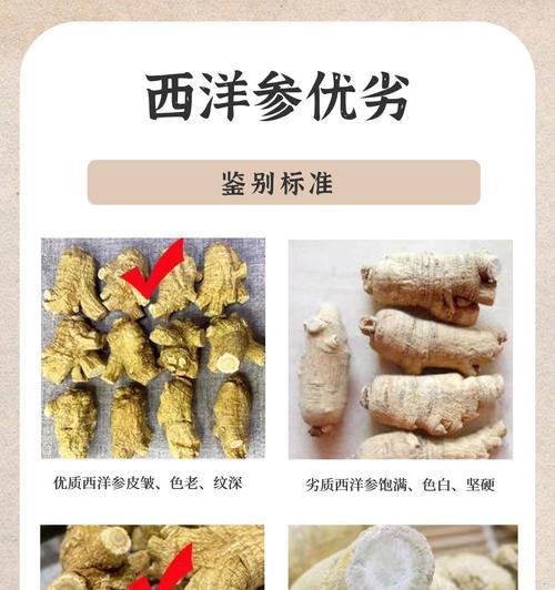 花旗参的降火与上火作用（了解花旗参的性质及功效）