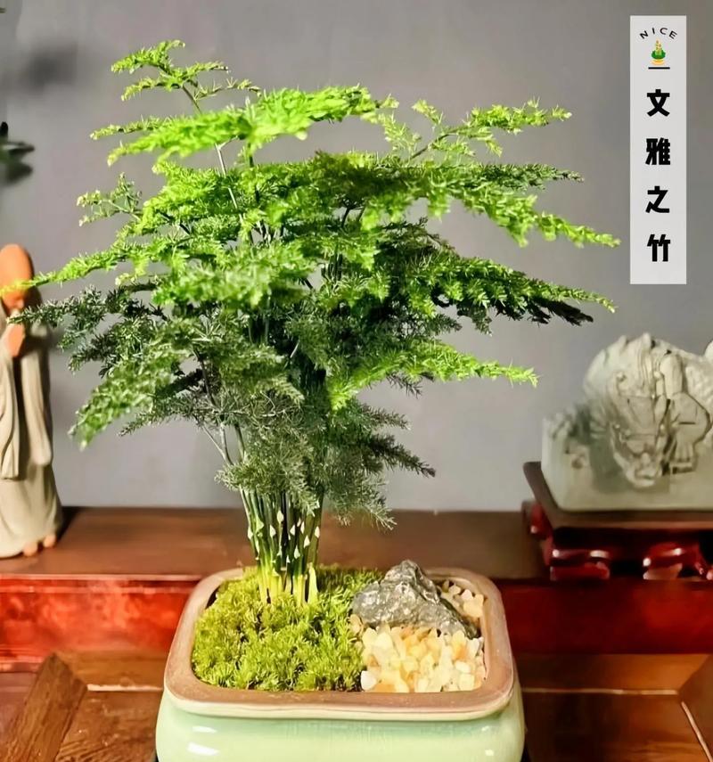花卉养护（轻松掌握浇水时间和方法，让花儿长得更好）