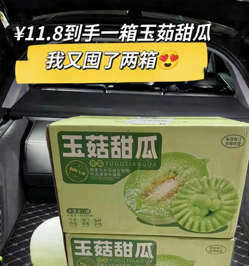 哈密瓜可以冷冻保存吗？解决你的困惑（哈密瓜冷冻储存方法与注意事项）