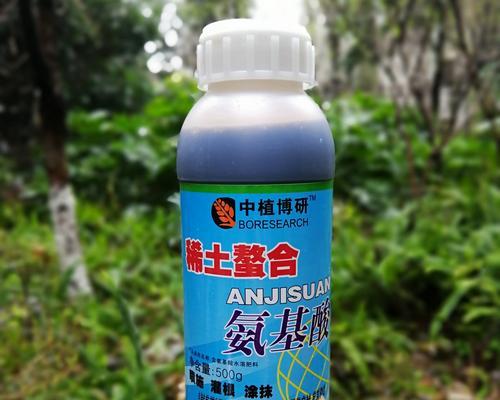 李子能治什么病？（探究李子的药用价值及其常见应用）