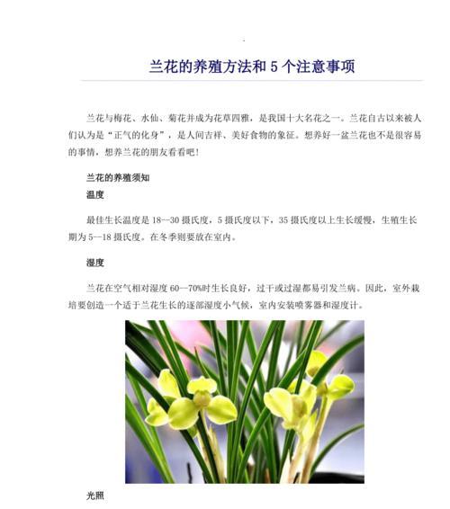 富贵籽的养殖方法和注意事项（掌握正确的养殖技巧，打造高效益的富贵籽种植园）