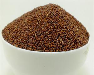 粟米的神奇功效与多样食用方法（探寻粟米的多重营养价值，品尝多样化美味佳肴）